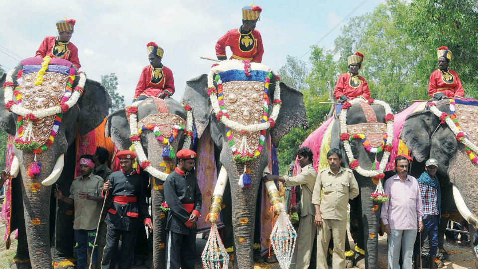 Gajapayana: Caparisoned elephants will march to city on August 10
