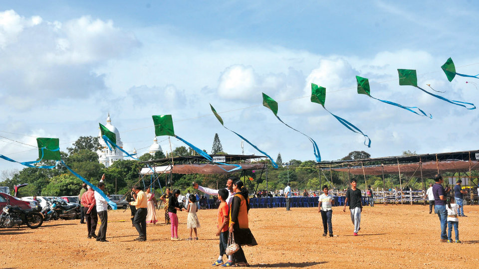 A kite-flying Sunday in city