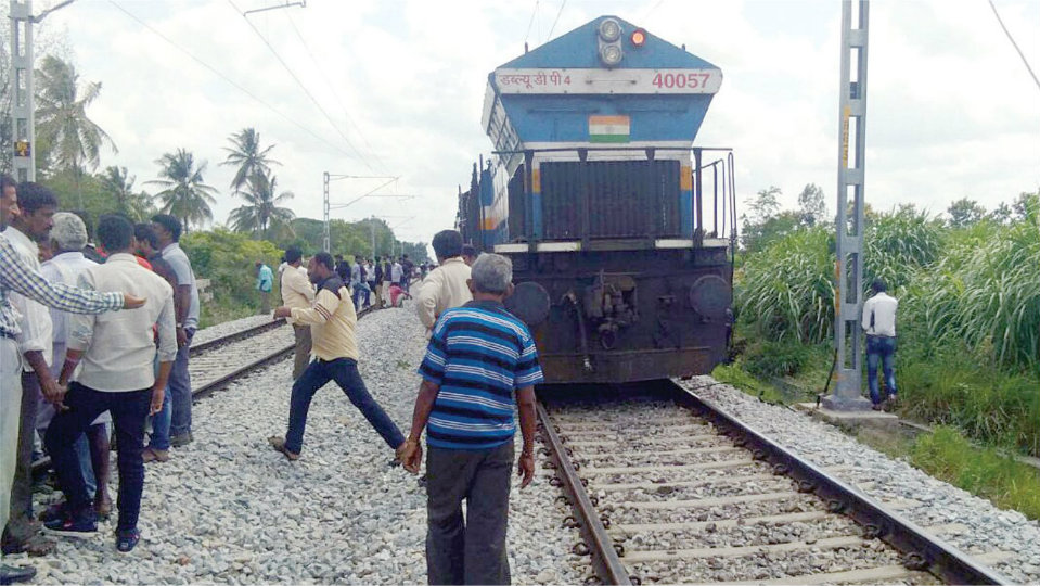 Mysuru-Bengaluru rail services delayed as Tipu Express hits buffaloes