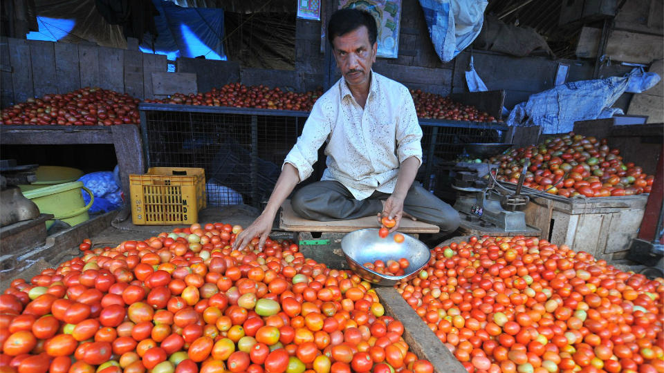 Tomato prices show downward trend