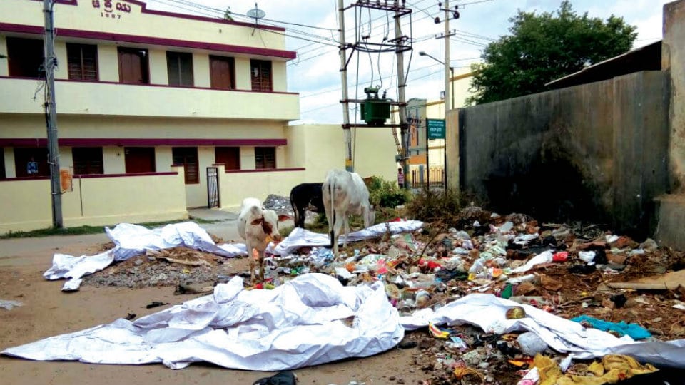 Garbage problem near Good Shepherd Convent in Lourd Nagar