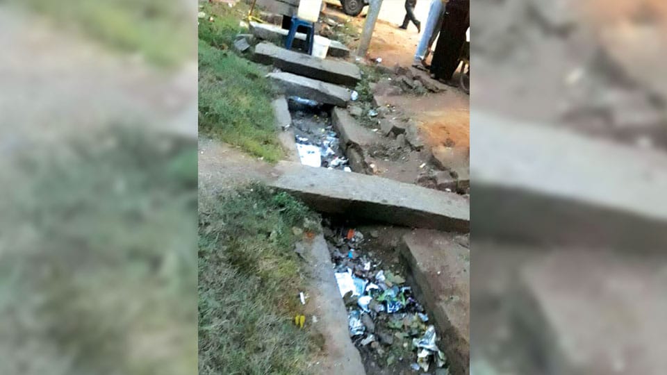 Clear this blocked drains in Hanumanthanagar