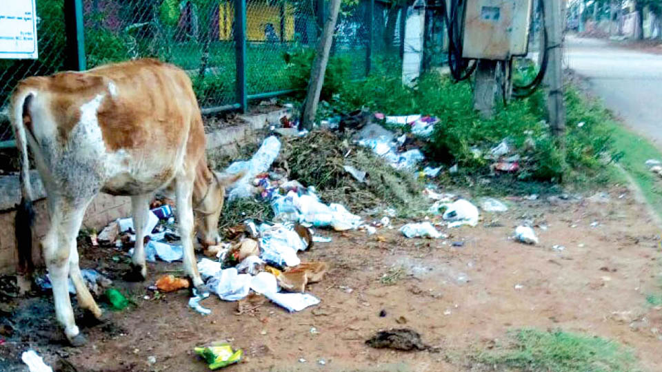 Stinking garbage near Yarab Masjid in Kalyangiri needs to be cleared