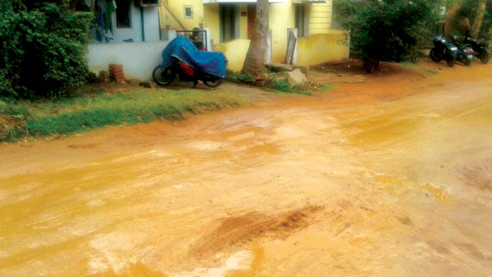 Stagnant water, a problem at S.S. Nagar