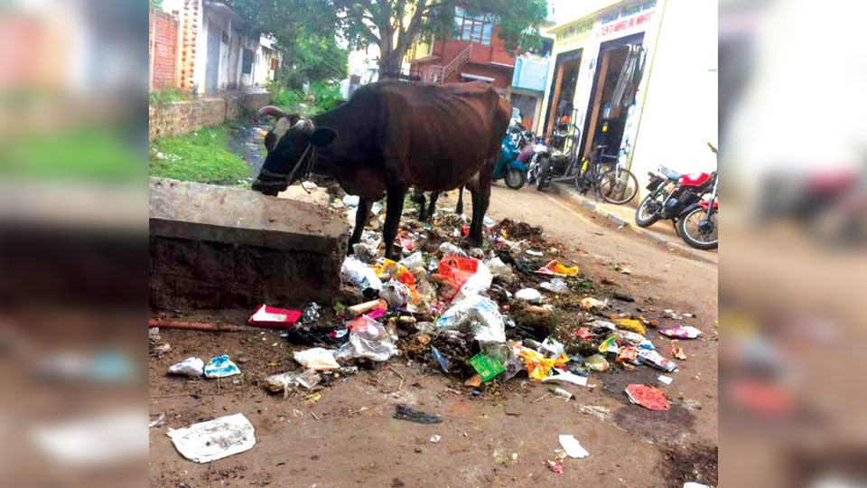 Plea to clear garbage at Cheluvamba Agrahara