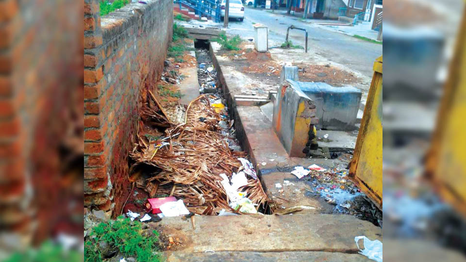 Plea to clear storm water drain on D. Subbaiah Road