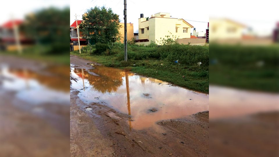Stagnant water causing problems at Madhuvana Layout