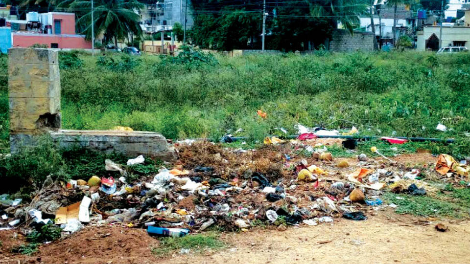 Stinking garbage welcomes people at Vidyaranyapuram