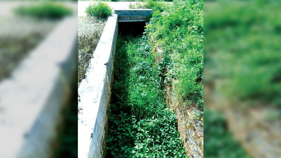 Plea to clean drains in Rajarajeshwari Nagar
