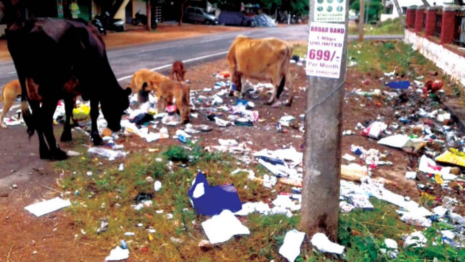 Stop dumping of garbage near Hampi Circle in Vijayanagar