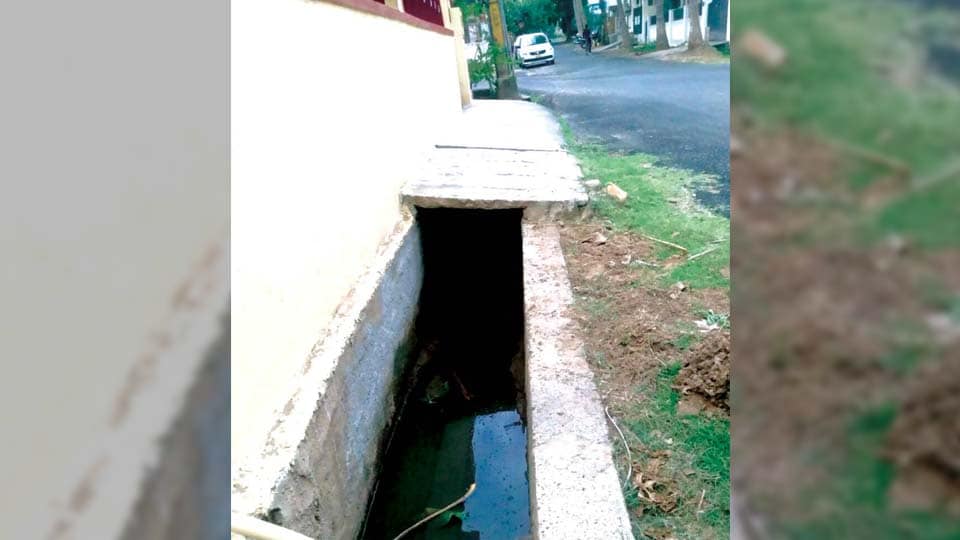 Sewage water flowing in storm water drain in Gokulam