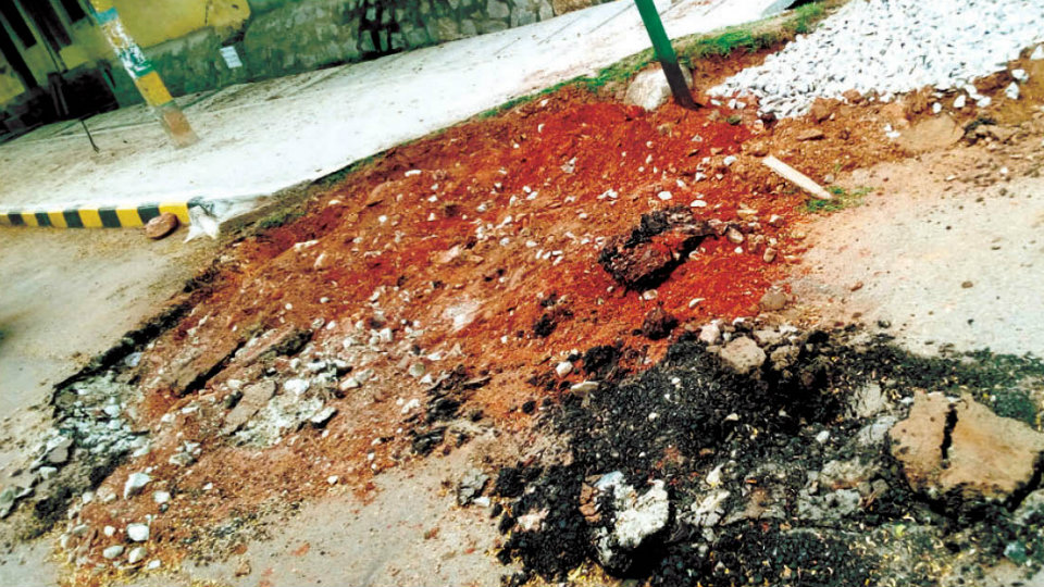 Public express anger over digging of newly asphalted roads