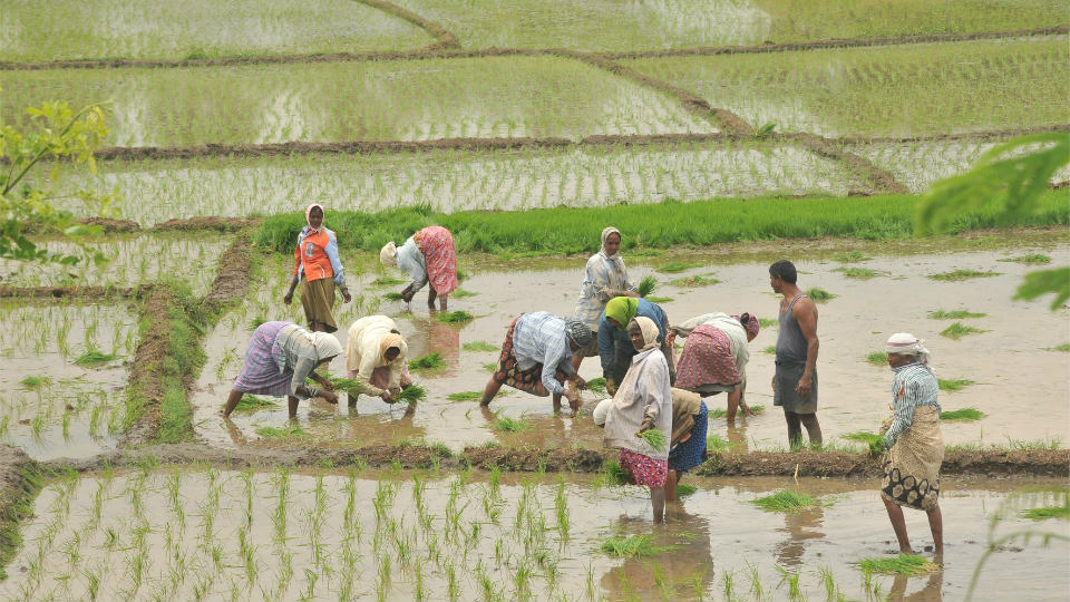 Heavy downpour: Normal life disrupted in city; Farming activities pick up