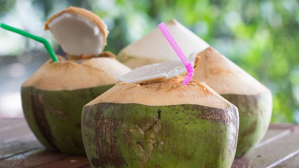Tender coconut sale in theatres to help famine-hit farmers