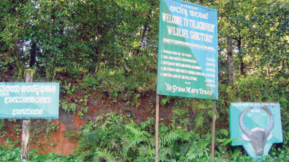 Kopattimalai forest encroachment row: Kerala ex-DGP’s wife gets stay on eviction
