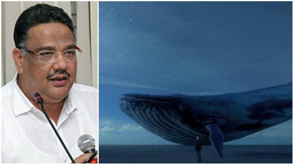 Sait writes to IT Minister to ban Blue Whale video game