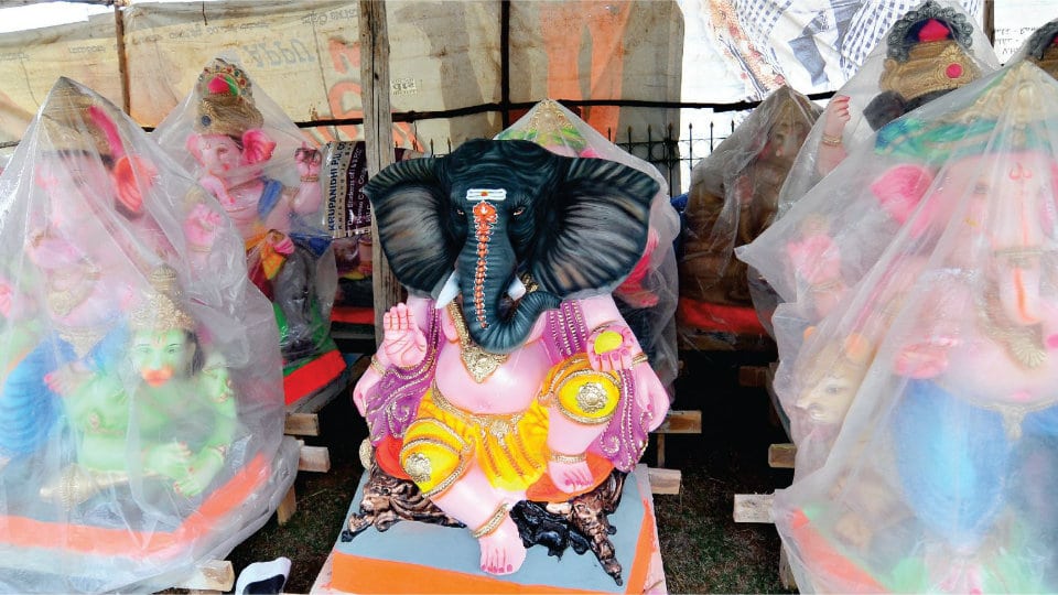 Manufacture, sale of PoP, chemically coloured Ganesha idols banned: DC