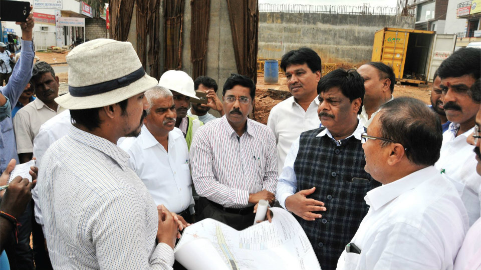 District Minister inspects works
