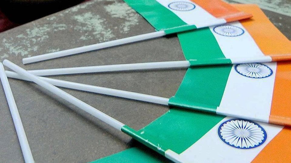 No plastic Flags on I-Day