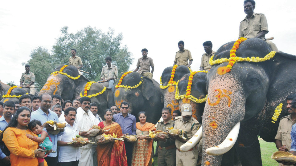 Pranams to Pachyderms at Palace…