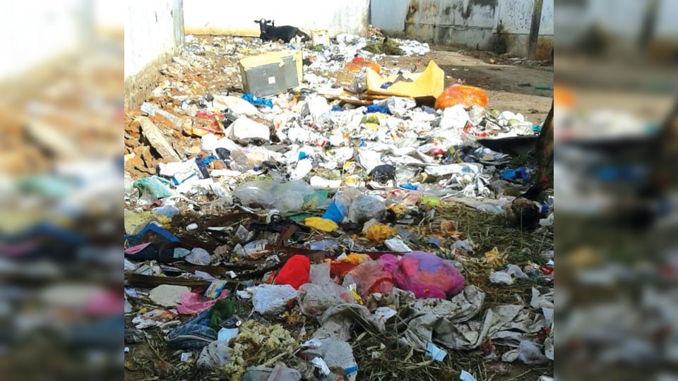Clear garbage dump near Shia Masjid on Akbar Road