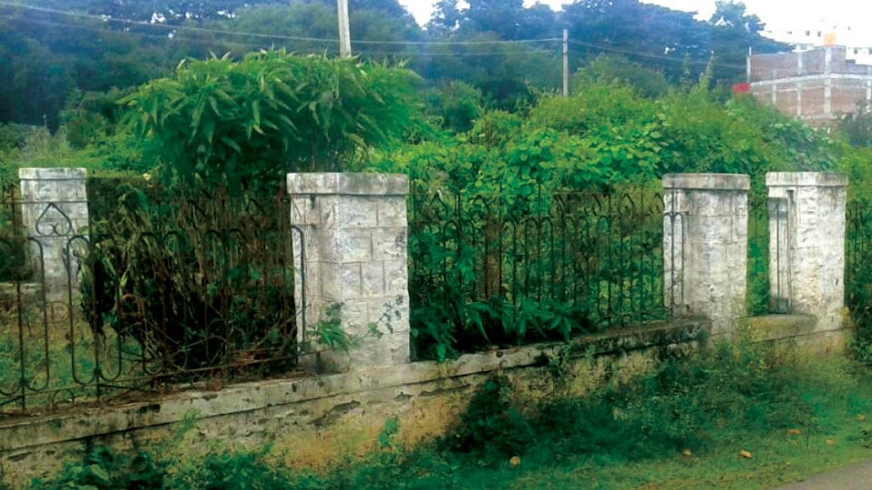 Park turns into jungle of weeds in J.P. Nagar