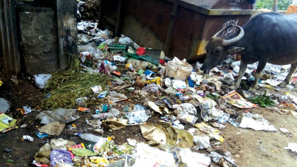 Clear this garbage dump in K.G. Koppal