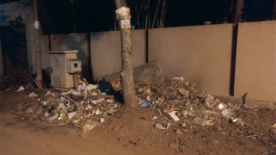 Garbage dumping, a bane on Nelson Mandela Road