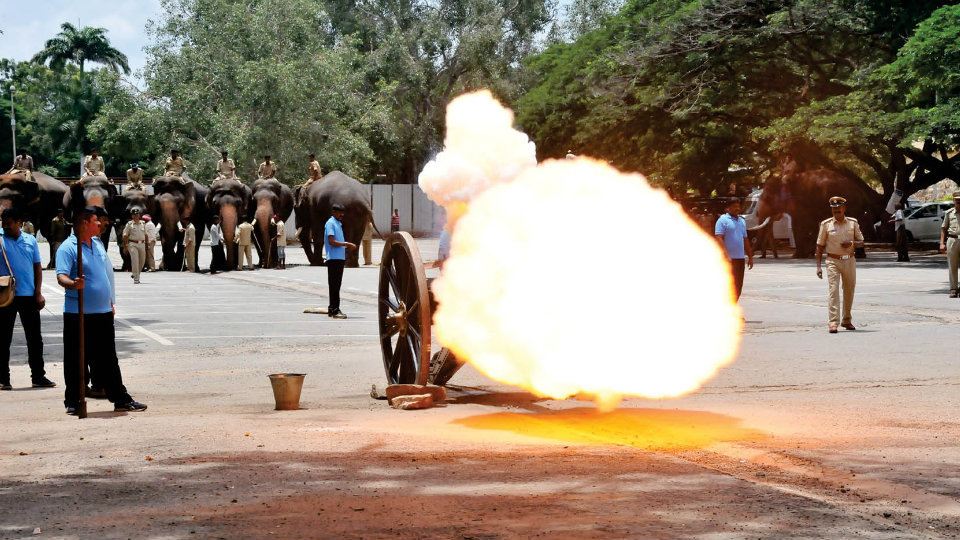 Dasara Jumbos acclimatised to cannon sound