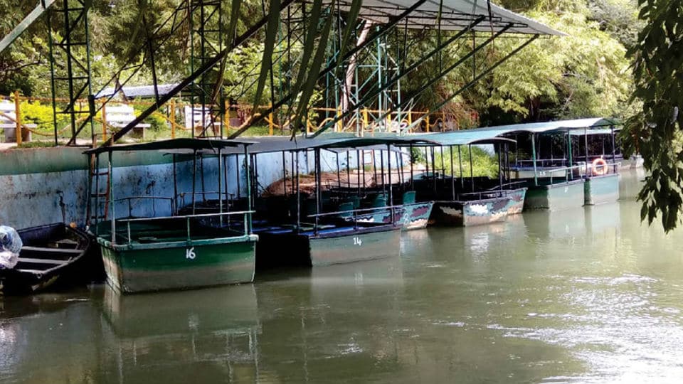 Boating services suspended at Ranganathittu
