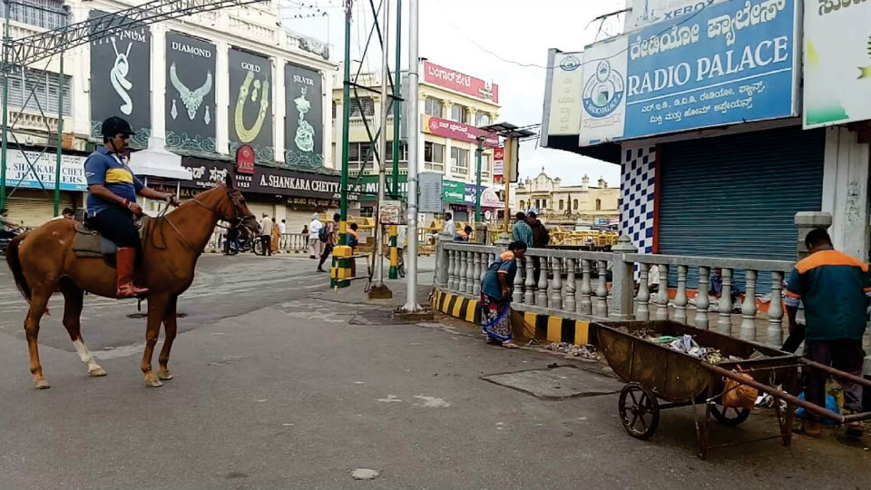 Dasara Effect: Mayor on horseback inspects cleanliness of city