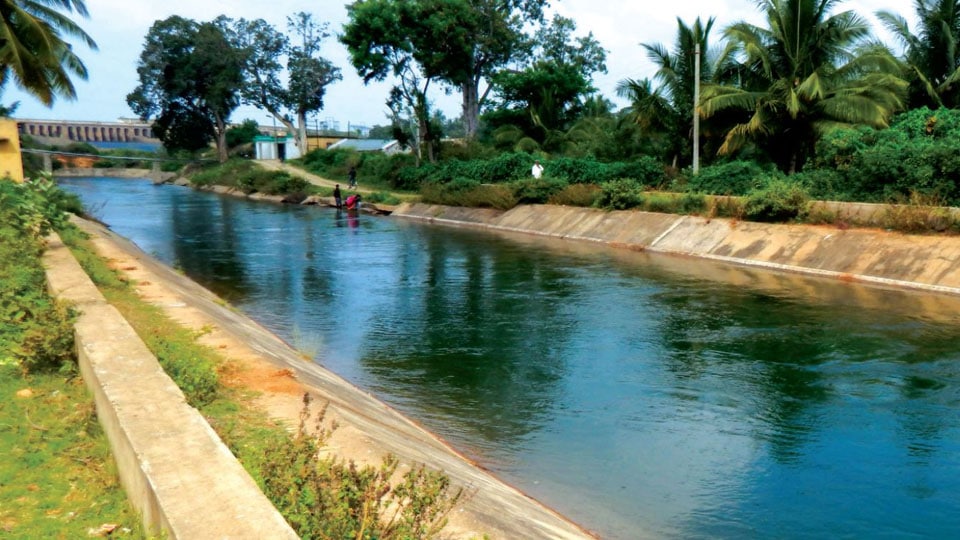 KRS water release to canals 15 days in a month: CM