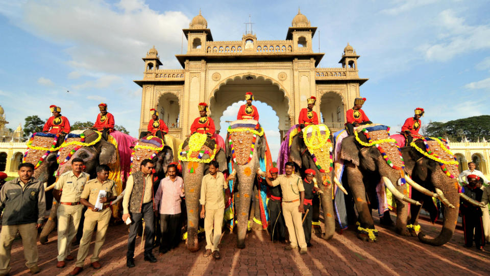 Dasara jumbos all set for a grand spectacle