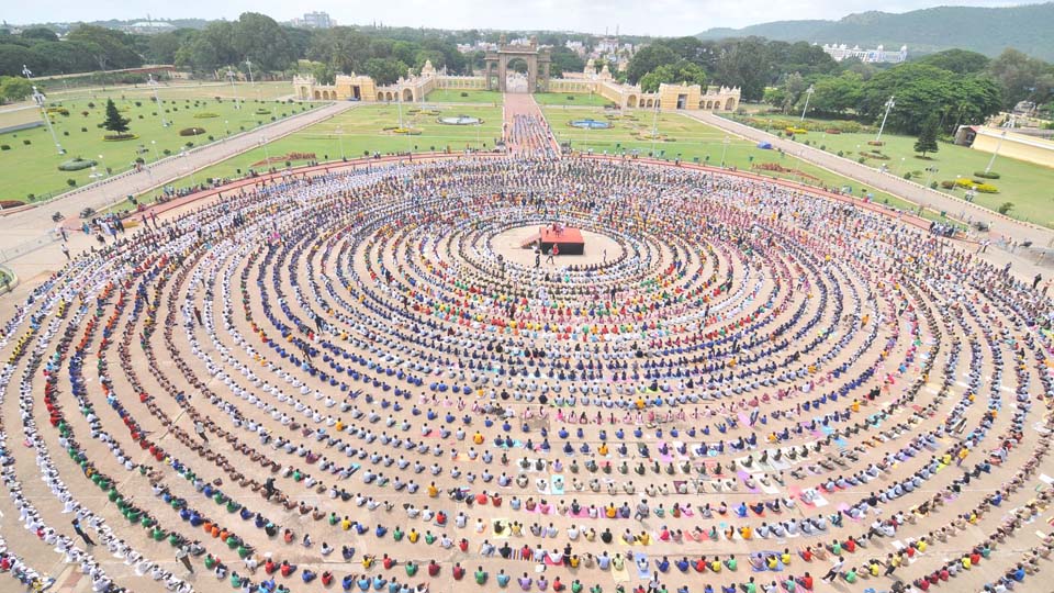 Longest Yoga Chain: Guinness Book yet to announce results