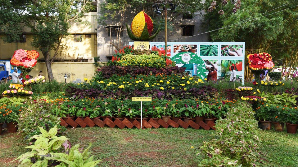 Dasara Garden competition