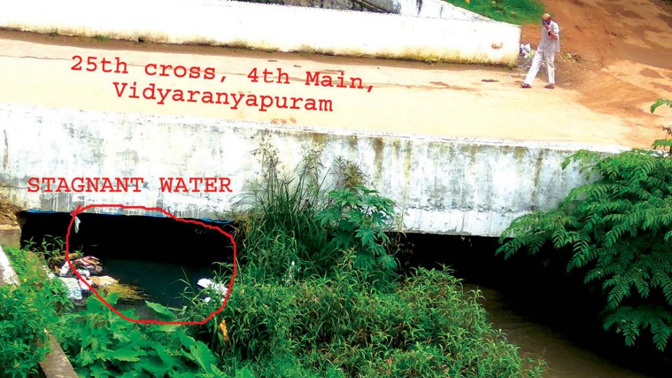 Clogged drain causing problems in Vidyaranyapuram