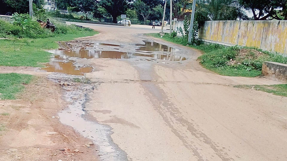 This road crying for attention