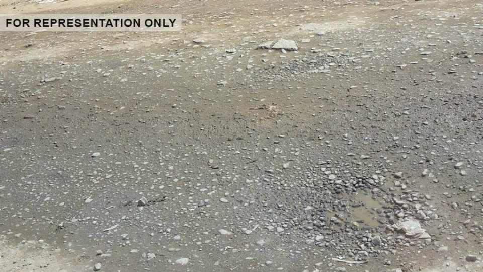 This Road crying for attention