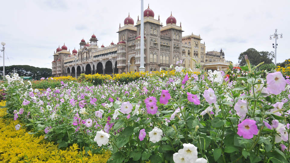 Mysore Palace will soon get fire management system