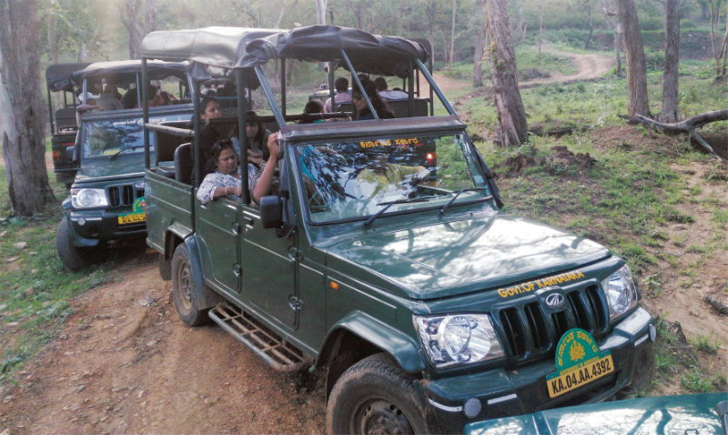 bandipur jeep safari price