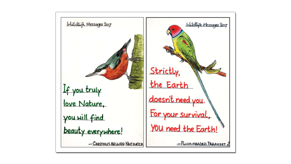 Avid birder’s Wildlife Message Cards
