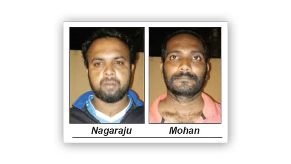 Notorious rowdies arrested in Mandya: Country-made pistol, machetes seized