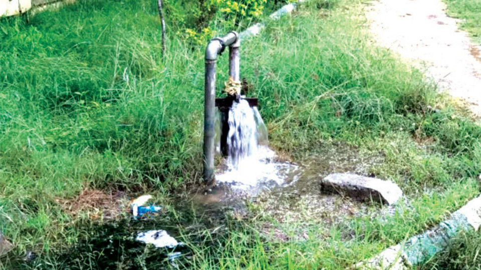 Borewell leaking inside K.C. Layout Park since 13 days
