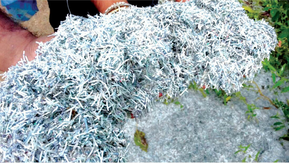 Shredded currency notes filled in sacks found in Mandya