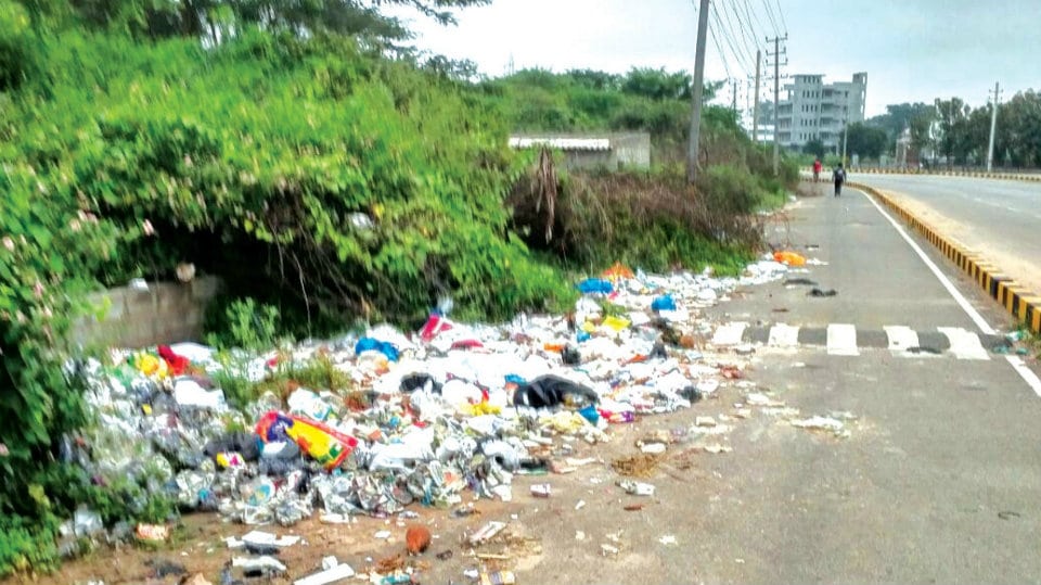 Clear garbage on Service Road in Kanakadasanagar