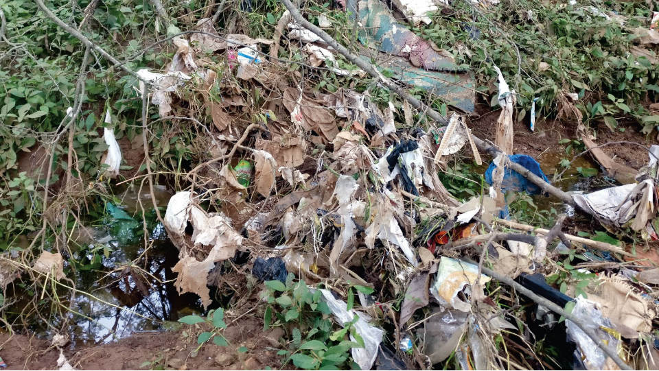 Garbage galore in Lingambudhi Lake Park