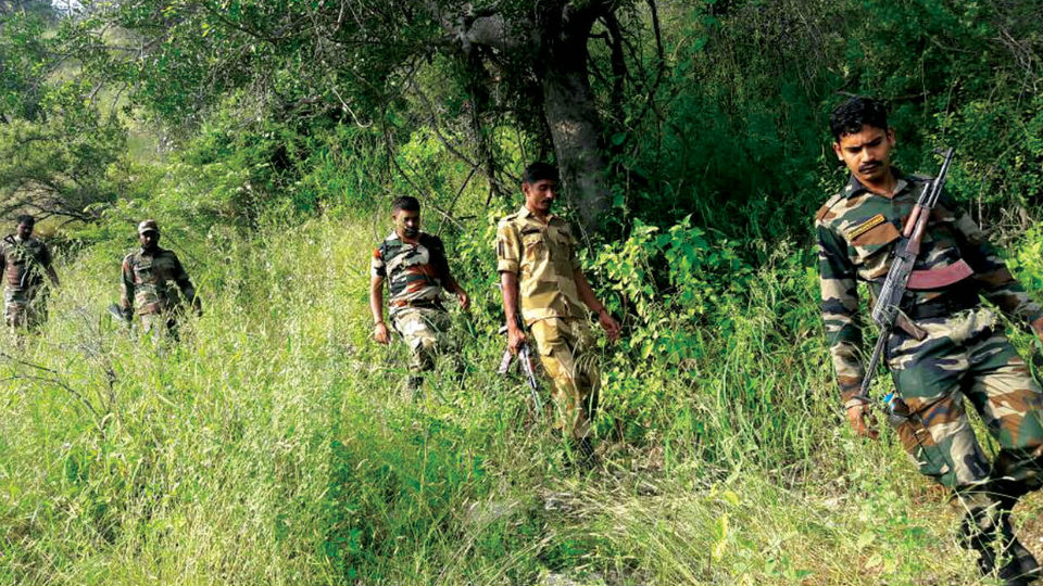 Presence of suspected naxals in Bandipur