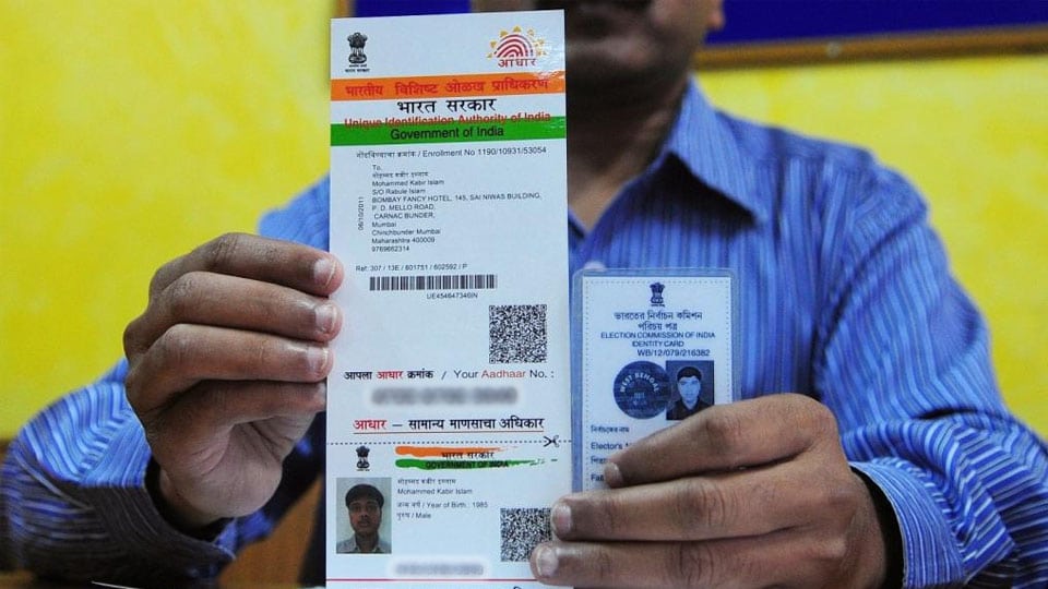 Why not link Aadhaar to EPIC card?