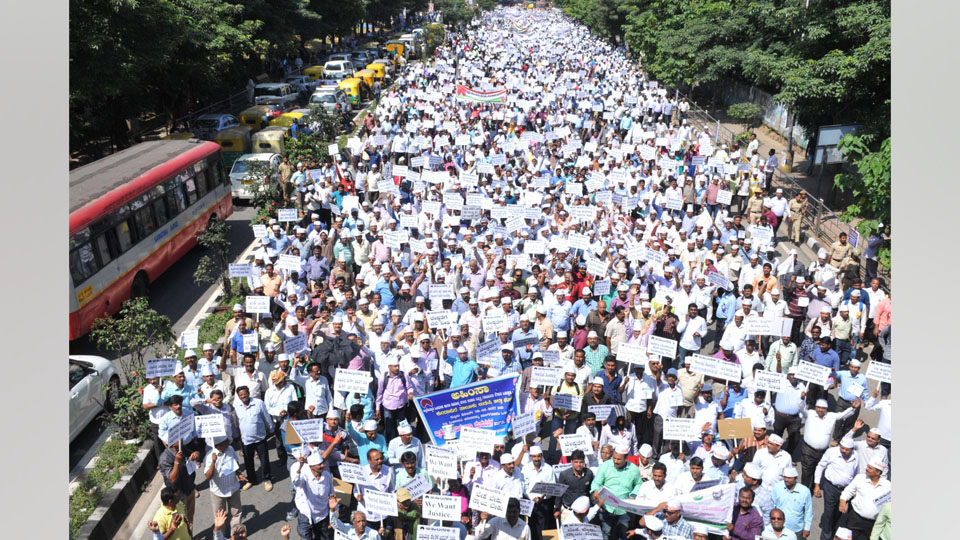 Thousands take part in AHIMSA rally at Bengaluru