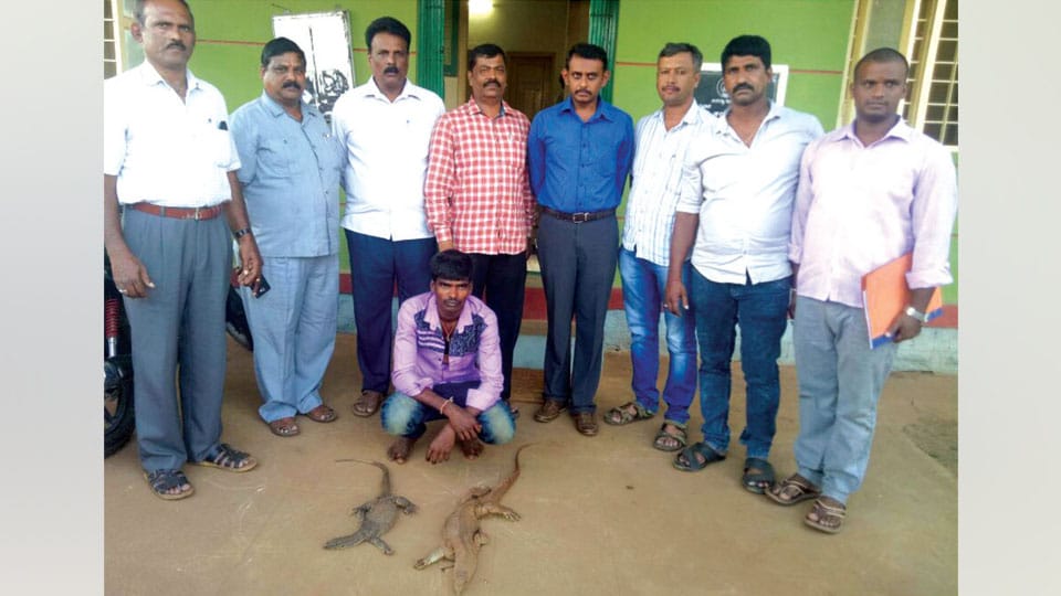 Man arrested for poaching Monitor Lizard